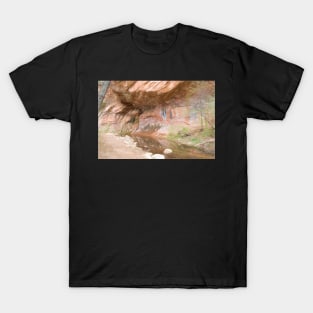 Red Rock National Park T-Shirt